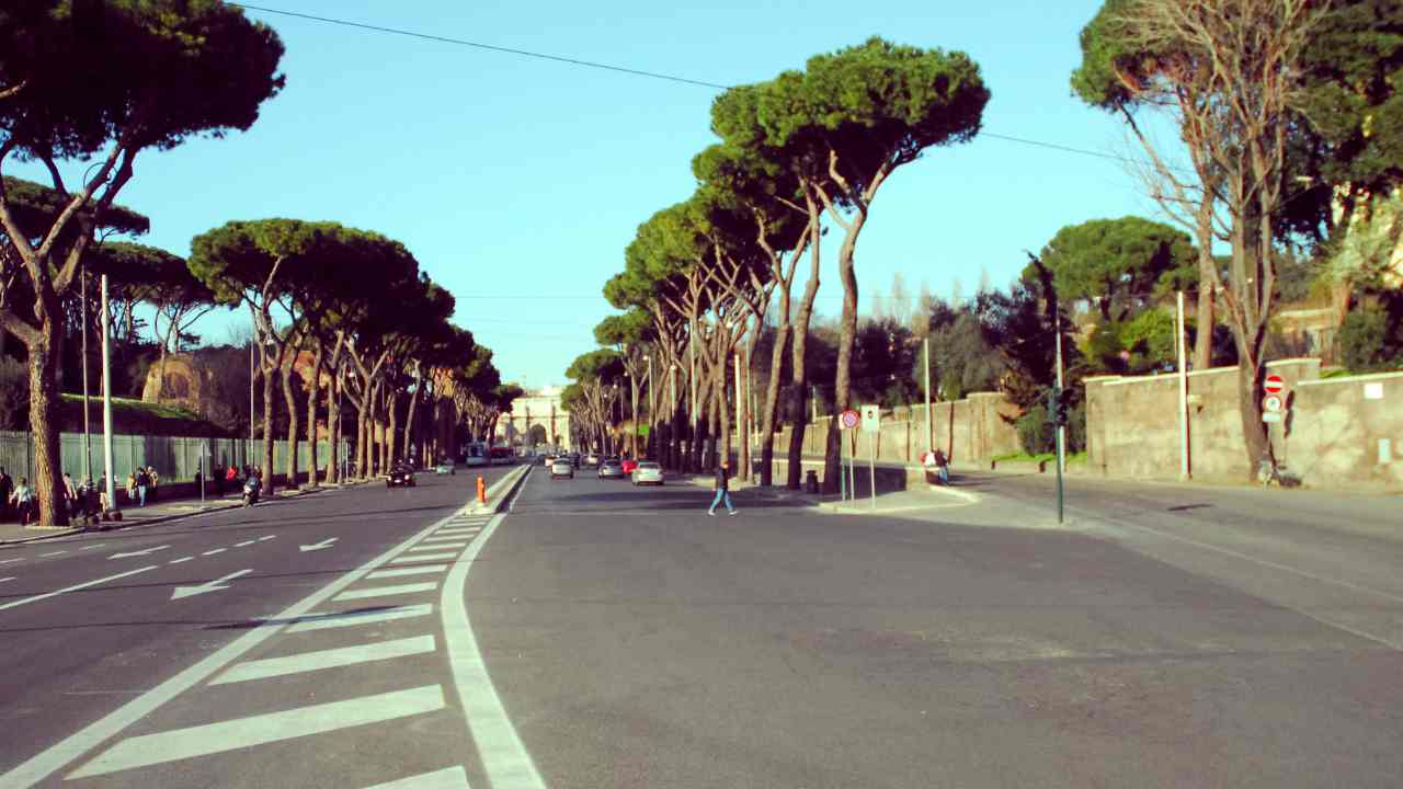 cinghiali roma avvistamenti