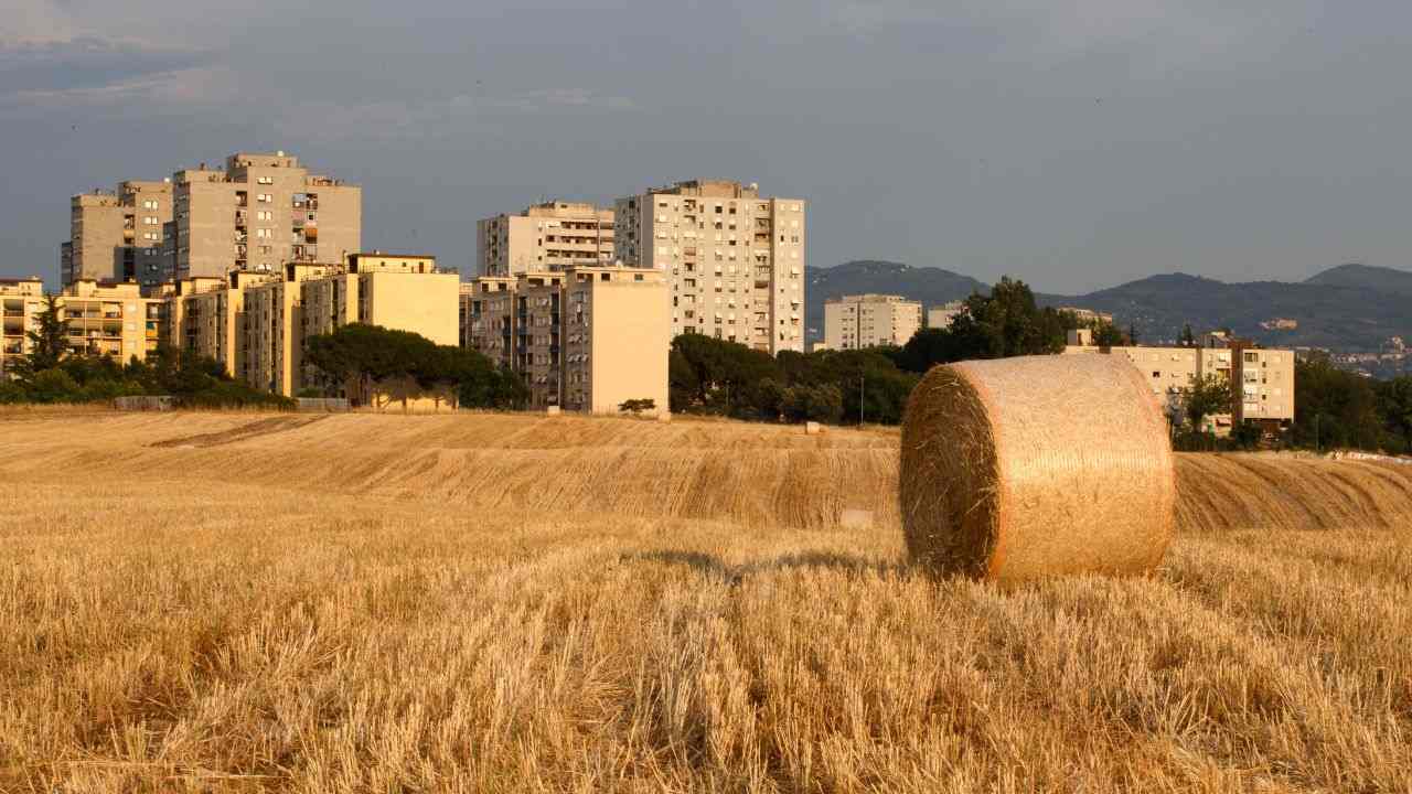 Tor Bella Monaca: il blitz dell'alba al Ferro di Cavallo