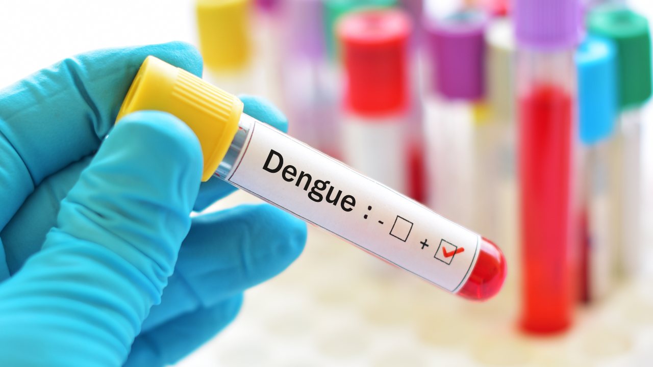 dengue nuovi casi a roma e nel lazio