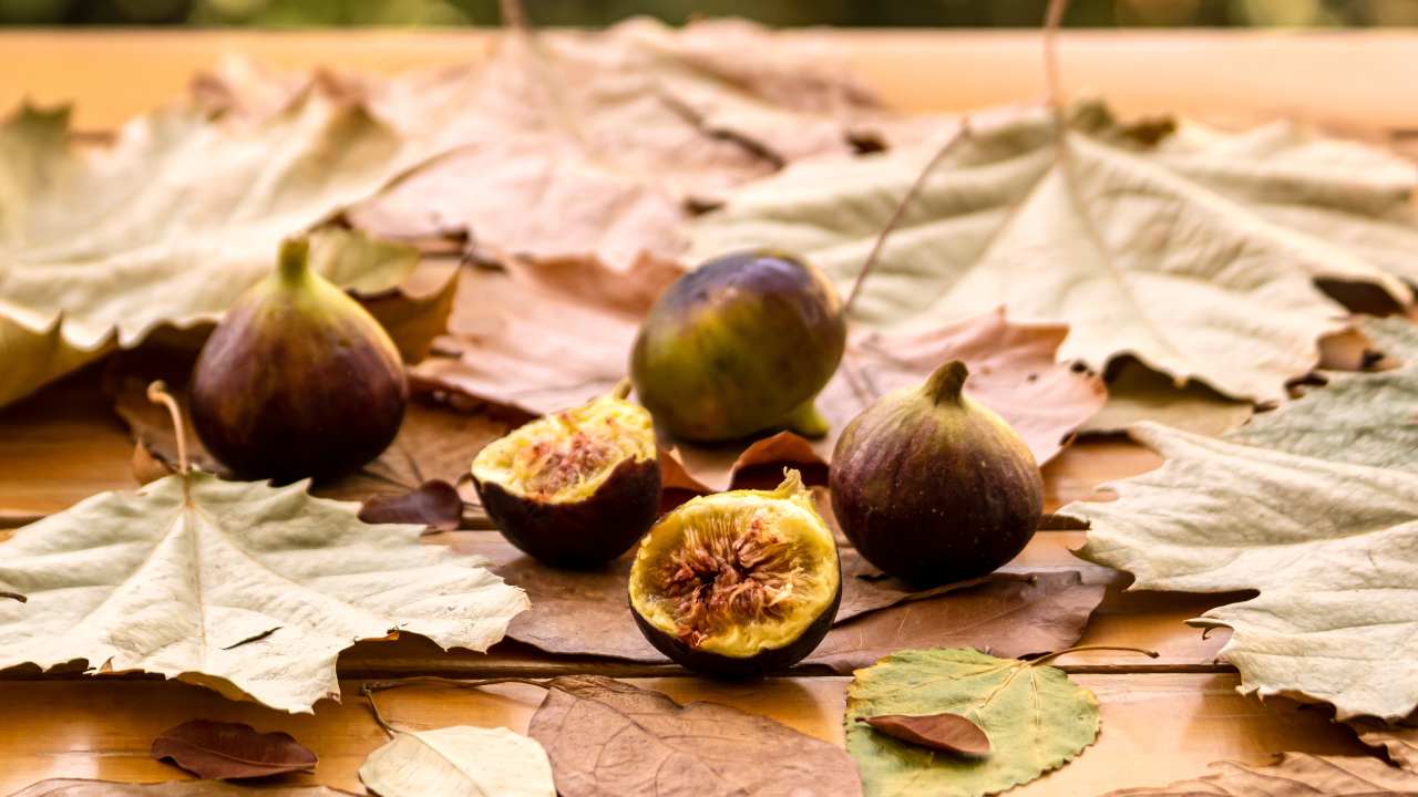 cosa mangiare nel mese di settembre