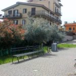 cadavere parco