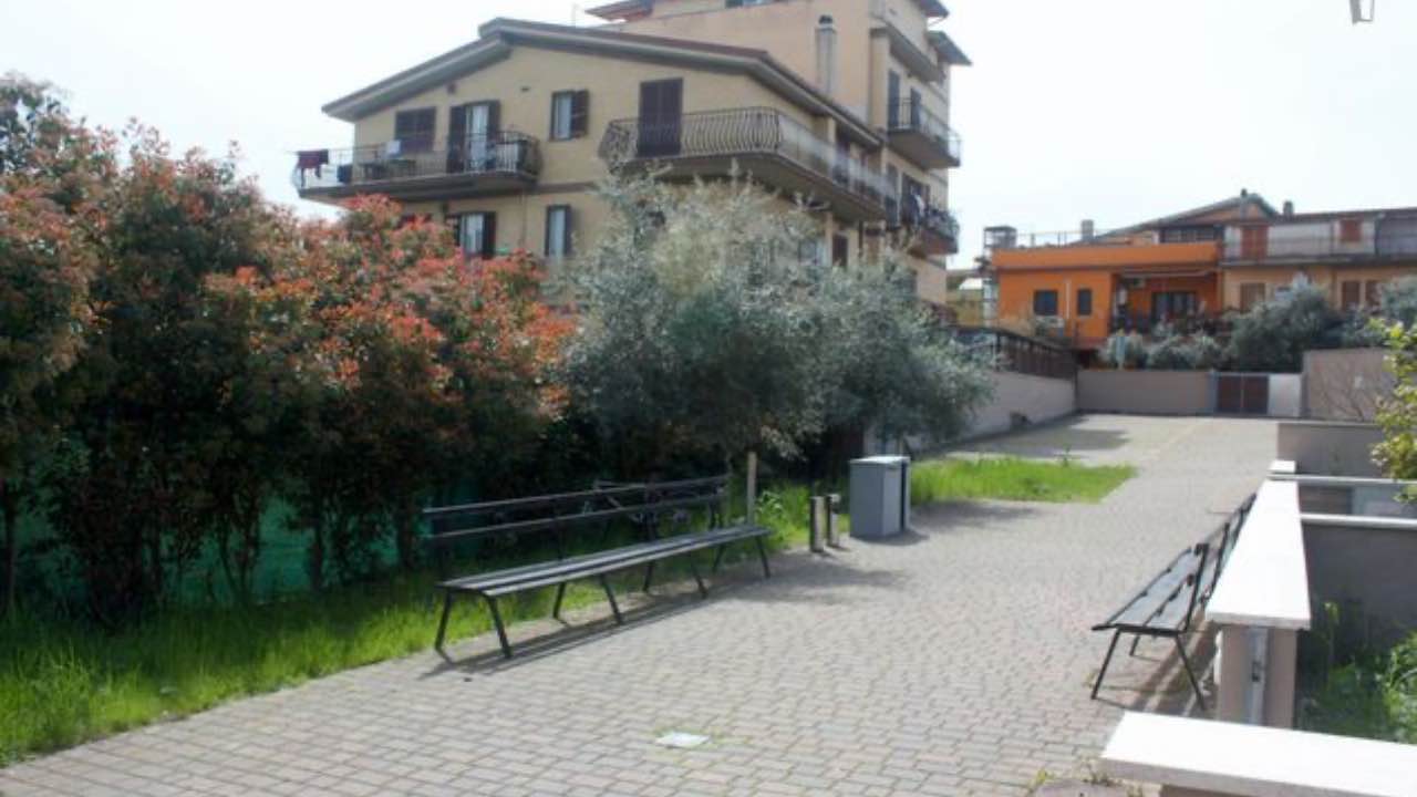 cadavere parco